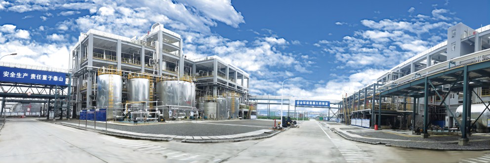 山東藍(lán)星東大有限公司